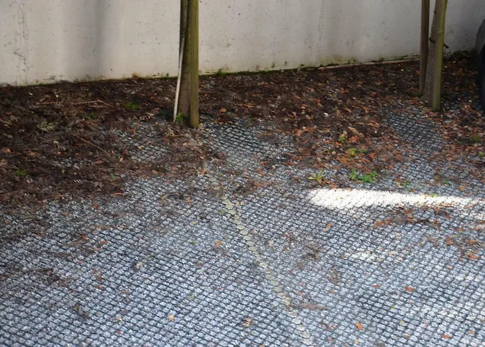 Apartment Path Dukes *