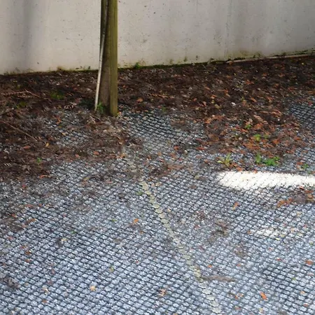 Apartment Path Dukes *